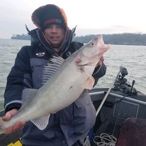 Meet your Posher, Jessie